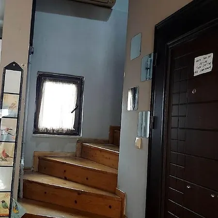 Bird Apartment Istanbul