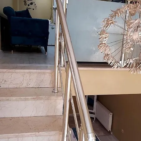 Apartment Bird *
