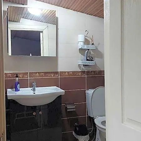 Hotel Bird 3*