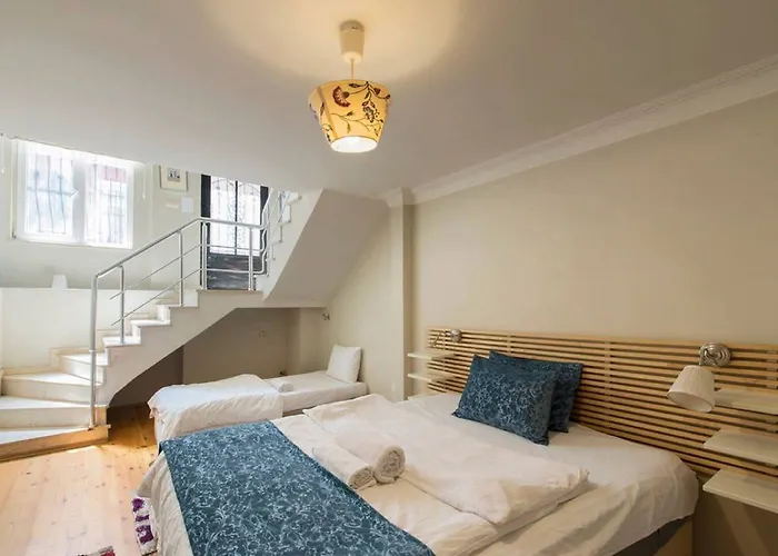 Bird 3* 이스탄불